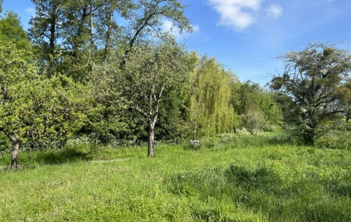 Terrain   LA CHAPELLE-BASSE-MER   95 500 € 